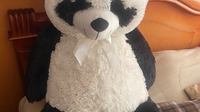 303bb3a3-746a-4c7c-8e58-c3a38f8aa292-1