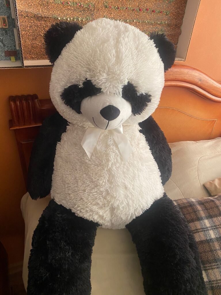 303bb3a3-746a-4c7c-8e58-c3a38f8aa292-1