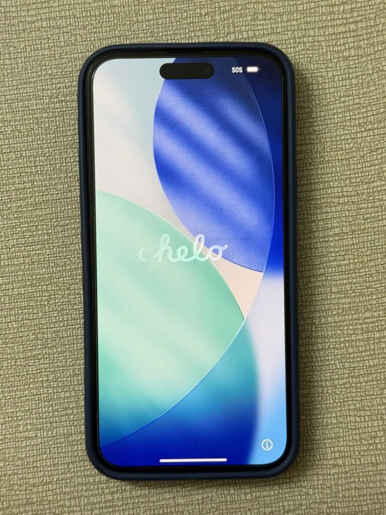 1000626463